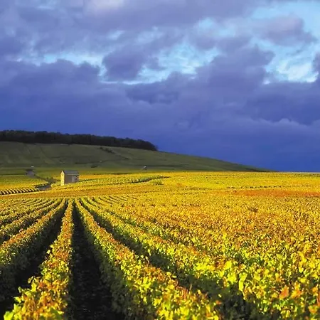 Premium Le Figaro 1 Épernay