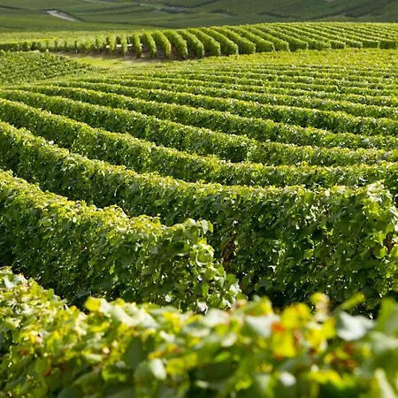 Lägenhet Premium Le Figaro 1