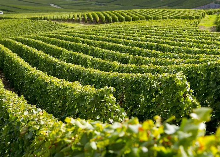 Apartment Premium Le Figaro 1